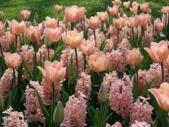 내 공간과 내 몸