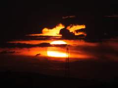 좀비 아포칼립스에서 살아남기