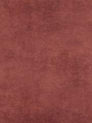 뱀파이어 메이트!