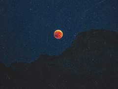 완벽한 춤을 원해.