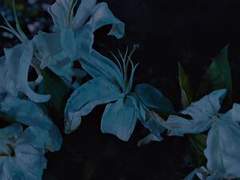 [상사형님] 나쁜 버릇