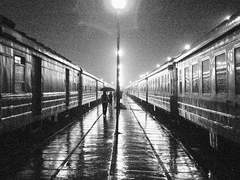 돌아오지 못한 채로