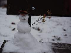 [황시목] 갑자기 가이드 24