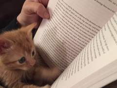 안녕하세요! 이벤트 입니다!