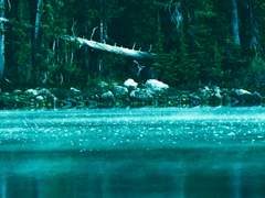 내가 본 푸른 빛 중,