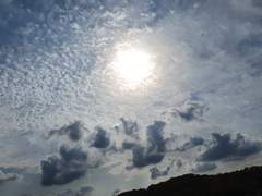 사도_死挑 3 완결