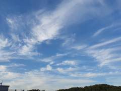 DAD.9 完 (전체공개)