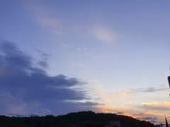 Winter Flower - 6 .完