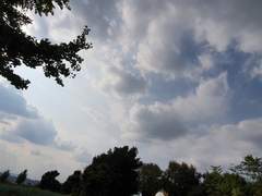 Purple Moon&Viola . 11