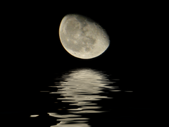 달이 비추오니 04.