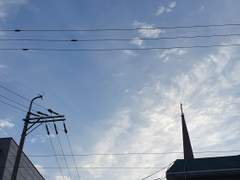 Dark Dionysos : Apple Mint -4-