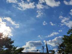 화이트 코튼 : Boy With Luv. [epilogue 2.]