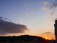 Dionysos & sirena [디오니소스 앤 씨레나]-[epilogue 2.]