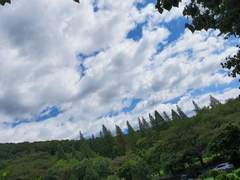 유포리아 : reencontrarse [epilogue]