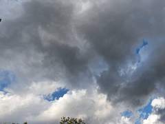 아모르에떼르노 - 11 [전체공개]