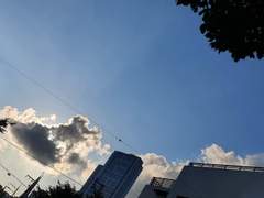 mi gato : 나의 고양이 5. [完]