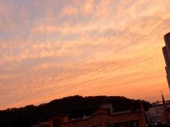 house of cards [epilogue]