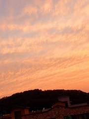 멤_House Of Cards.完