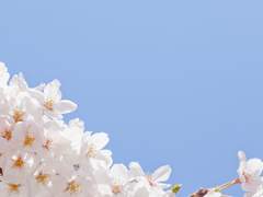 [완결후기] 10 years after