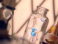 태초부터 함께 한 현자, 우리의 초월의 증표이자