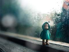 피터 팬은 될 수 없어서