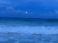 아가미로 호흡하는 법을 알아?