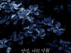 [쿠니카게] 안녕, 나의 낙원