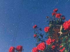 넌 내 모든 거야