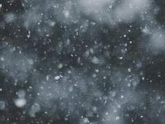 눈온다! (눈와서뽕찼음)