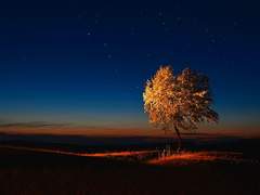 칼바람은 우리를 베고