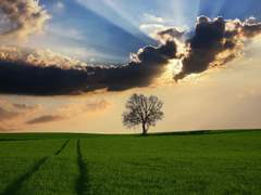 A book without a title