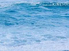 네가 죽었으면 좋겠어.