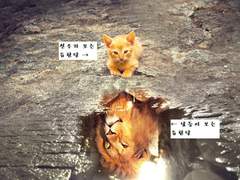 PADO_seas 타로리더님께 받은 타로 커미션! (듀란선우 관계타로)