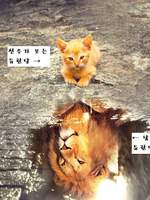 드림커플 타로커미션 후기