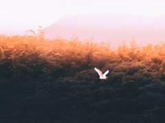 제멋대로 걸어가도 괜찮아.