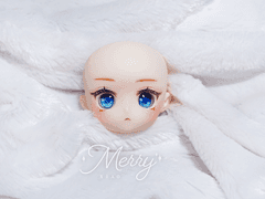 반프리 ㅣ 타이니폭스 ㅣ 일반타입