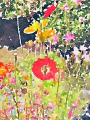 그 여자 이야기