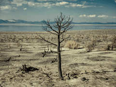 [ Linda Herbert / 63 ]