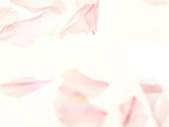 [아유슈이] 아름다운 날이었다.