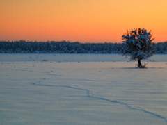 삿포로 여인숙 上