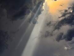 하늘의 뜻을 따라 사람들의 요청에 응한 것이다