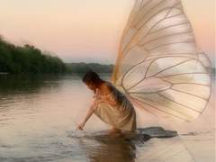 태초로부터의 자연의 원리를 알고자 하는 것이 과학이다