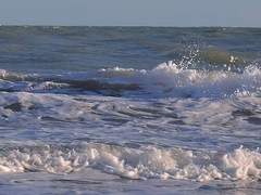 파도가 몰아치는 그 순간 나와 함께 몸을 맡기지 않을래?