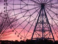 FERRIS WHEEL