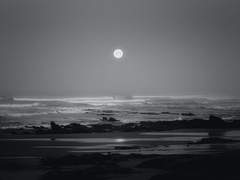 무기의 끝이 향할 곳은?