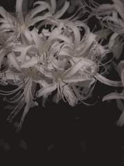 일단은 살아보겠습니다