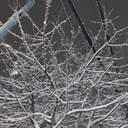 네가 그러고도 사람이냐?