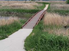 약 17년간 살았던 세계가 무너졌다