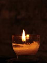 해바라기에게 죽음을 고하며 (조아라 백업)