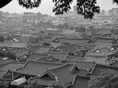 불가살이 (不可殺伊)